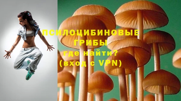скорость Балахна